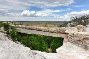 agaat brug in versteend Woud nationaal park. het is een versteend log dat overspanningen een zandsteen wassen. foto