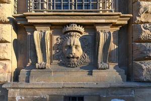 dichtbij omhoog leeuw stucwerk Bij palazzo pitti, de oud paleis van medici familie in Florence, Italië. foto