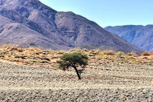 woestijn landschap - namibrand, Namibië foto