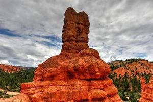 rood Ravijn Bij dixie nationaal Woud in Utah, Verenigde staten. foto