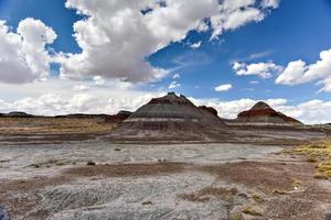 de tipi's in de versteend Woud nationaal park in Arizona. foto