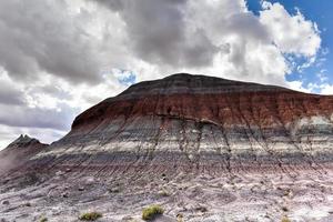 versteend Woud nationaal park in Arizona, Verenigde Staten van Amerika. foto