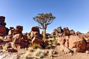reus speelplaats - Namibië foto
