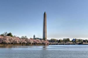 Washington monument en kers bloesems Bij de getij bekken gedurende voorjaar in Washington, gelijkstroom foto