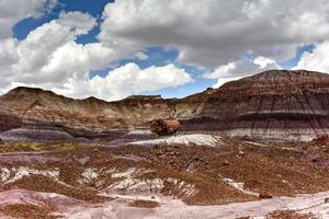 blauw mesa in versteend Woud nationaal park, Arizona, Verenigde Staten van Amerika foto