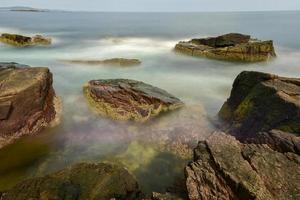 de rotsachtig kust in acadia nationaal park, Maine in de buurt donder gat in de zomer. foto