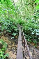 el nicho watervallen in Cuba. el nicho is gelegen binnen de oma parque natuurlijk toppen de collantes, een bebost park dat strekt zich uit aan de overkant de Sierra escambray berg reeks in centraal Cuba. foto