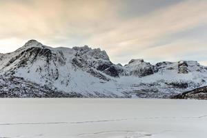 besneeuwd meer stevig in de lofoten eilanden, Noorwegen in de winter. foto