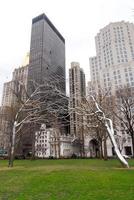 roestvrij staal boom sculpturen in Madison plein park in nieuw york stad foto