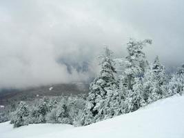 sneeuw gedekt trails in een winter ski toevlucht in Vermont foto