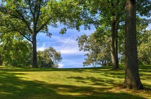 idyllisch Woud pad in upstate nieuw york. foto