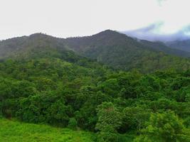 barron kloof nationaal park langs de kuranda toneel- het spoor in Australië. foto