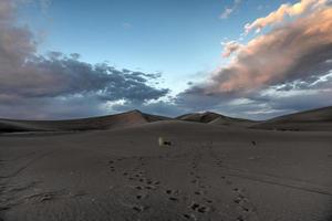 zand duinen langs de amargosa woestijn Bij zonsondergang foto