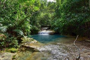 el nicho watervallen in Cuba. el nicho is gelegen binnen de oma parque natuurlijk toppen de collantes, een bebost park dat strekt zich uit aan de overkant de Sierra escambray berg reeks in centraal Cuba. foto