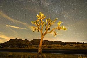 mooi landschap in Joshua boom nationaal park in Californië Bij nacht. foto