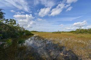 toneel- landschap Florida Everglades foto