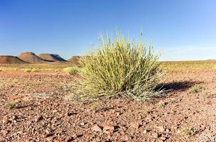 vis rivier- Ravijn -Namibië, Afrika foto