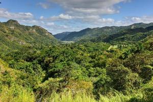 el nicho watervallen in Cuba. el nicho is gelegen binnen de oma parque natuurlijk toppen de collantes, een bebost park dat strekt zich uit aan de overkant de Sierra escambray berg reeks in centraal Cuba. foto