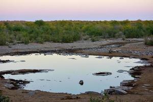 gieter gat - etosha, Namibië foto