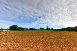 tabak veld- in de vinales vallei, noorden van Cuba. foto