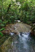 el nicho watervallen in Cuba. el nicho is gelegen binnen de oma parque natuurlijk toppen de collantes, een bebost park dat strekt zich uit aan de overkant de Sierra escambray berg reeks in centraal Cuba. foto