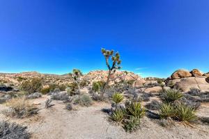 mooi landschap in Joshua boom nationaal park in Californië. foto