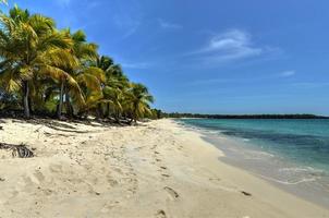 strand langs isla Catalina, dominicaans republiek foto