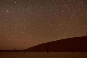 dood vlei, Namibië Bij schemer foto