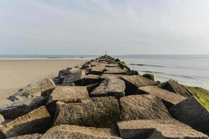 winderig punt, koninginnen foto