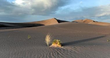 zand duinen langs de amargosa woestijn Bij zonsondergang foto