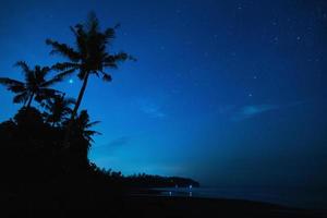 toneel- nacht lucht met een veel van sterren en palm boom foto