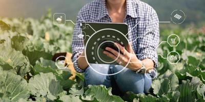 landbouwtechnologie boerenvrouw met tablet- of tablettechnologie om onderzoek te doen naar landbouwproblemen, analysegegevens en visueel pictogram. foto