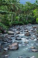 mooi rivier- met stenen en palm bomen Aan de waterkant foto