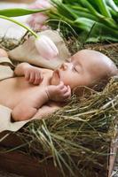 schattig weinig baby is aan het liegen in de houten doos met tulp bloem foto