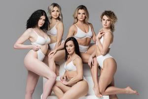 groep van verschillend Dames vervelend wit lingerie Aan grijs achtergrond. foto