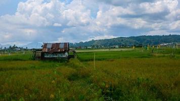een cabine in de midden- van een mooi rijst- veld- met een bewolkt lucht foto