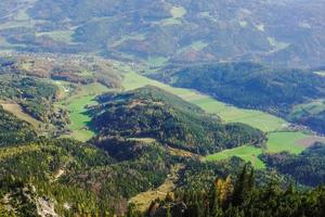 groen velden en heuvels met bomen in een vallei foto