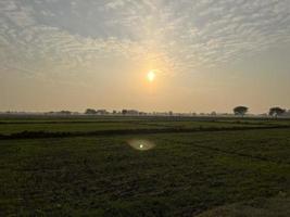 filmische kleur beoordeeld antenne visie van een veld- gewassen in de dorp van Pakistan mooi landschap visie van rijst- veld- in dat hoi mianwali foto