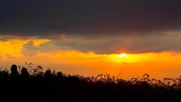 zonsopkomst in de landschap van heuvels en weiden. mensen Gaan omhoog de bergen naar zien de landschap, de zon, de ochtendgloren, en de horizon bovenstaand de grond foto