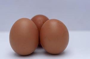 de groepen van eieren geïsoleerd Aan wit achtergrond. foto