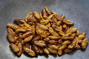 detailopname gebakken zijde wormen Aan pan. concept, raar voedsel. insecten aan het eten. hoog eiwit. traditioneel Thais straat voedsel in Thailand. eetbaar wormen. foto