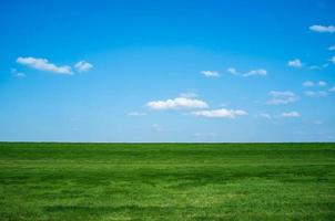 geweldig landelijk landschap.veld met groen vers gras tegen een blauw lucht en wit wolken, Aan een voorjaar dag. mooi afbeelding. foto