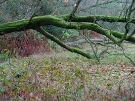 wandelen in de Nederland in de buurt haaksbergen foto