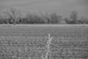 winter tijd in Duitsland foto