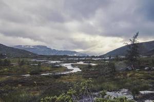 kronkelend rivier- Bij hoogland landschap foto