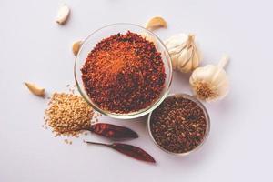 jawa's of java's chutney gemaakt gebruik makend van vlas zaden, lijnzaad poeder, knoflook, rood koud, Indisch genieten foto