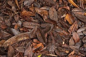 vuil natuurlijk verdieping met afval foto