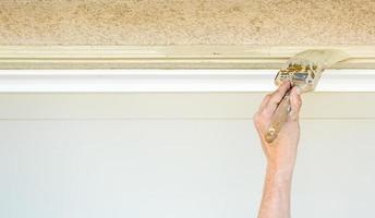 professioneel schilder snijdend in met borstel naar verf garage deur kader foto