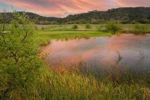 toneel- golf Cursus fairway en groen met vijver. foto