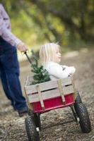 vader trekt baby meisje in wagon met Kerstmis boom foto